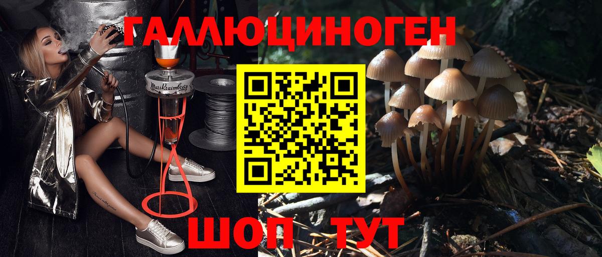 Псилоцибиновые грибы прущие грибы Трёхгорный