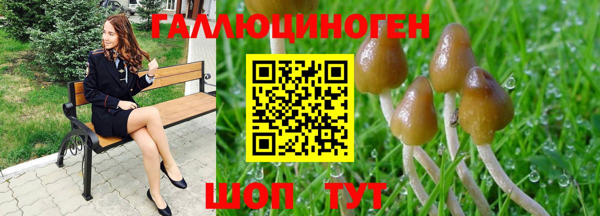 Трёхгорный  Псилоцибиновые грибы Psilocybine cubensis  Вход с VPN 